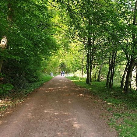 Ferienwohnung Am Saarweg Merzig Ngoại thất bức ảnh