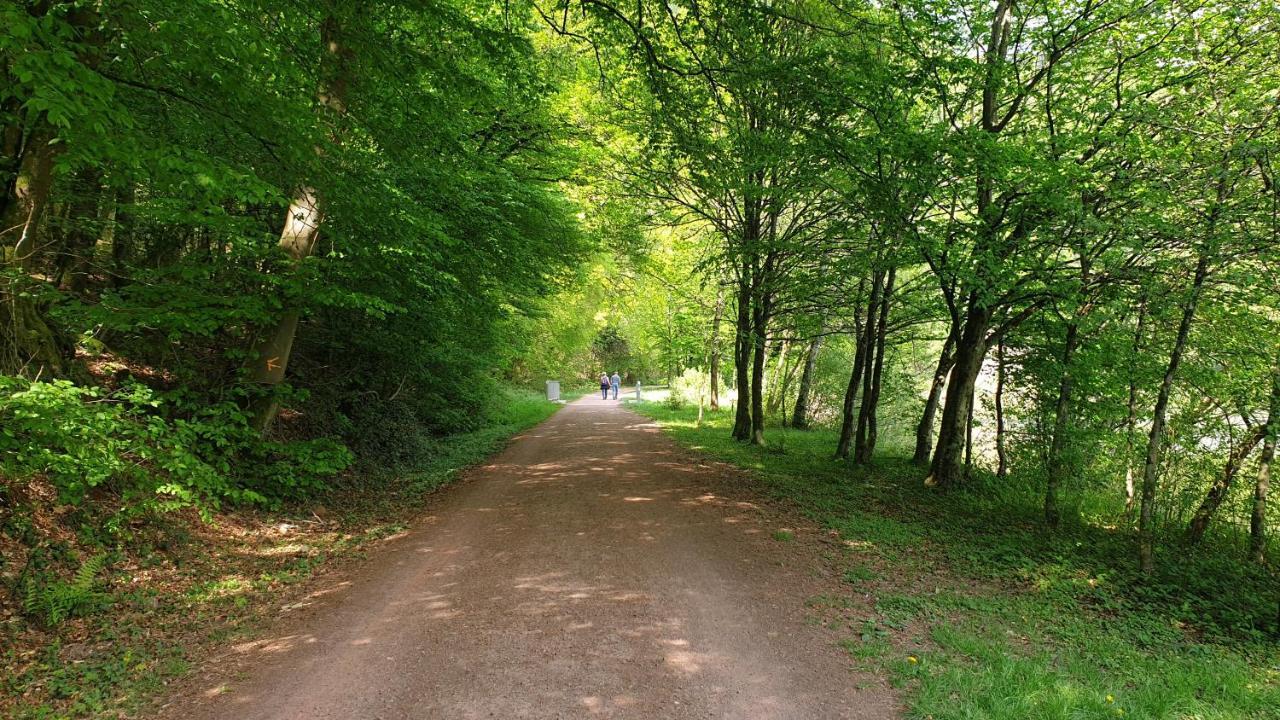 Ferienwohnung Am Saarweg Merzig Ngoại thất bức ảnh